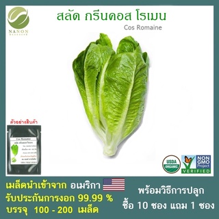 เมล็ดสลัด กรีนคอส โรเมน จำนวน 100-200 เมล็ด