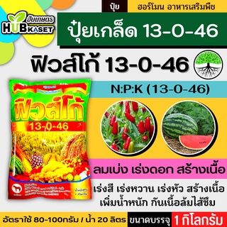 13-0-46 1กิโลกรัม (ปุ๋ยเกล็ดฟิวส์โก้) เพิ่มปริมาณแป้ง เพิ่มความหวาน เพิ่มขนาดและสีสัน