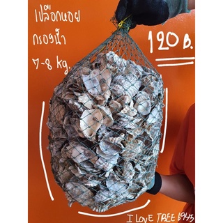เปลือกหอยนางรม กรองน้ำ​ ขนาด7-8กิโล​กรัม พร้อมถุงตาข่าย
