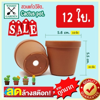 กระถาง PU012 ขนาด 2.2 นิ้ว สีอิฐ 12 ใบ เนื้อพลาสติกแน่นหนาทนทาน ราคาถูก กระถางแคคตัส กระถางกระบองเพชร