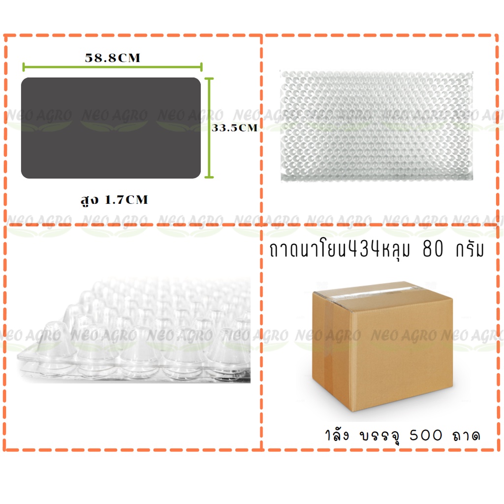 ถาดเพาะกล้านาโยน 434 หลุม แพ็ค 100 ชิ้น  ถาดเพาะต้นข้าว ถาดเพาะนาโยน เพาะกล้าข้าว ถาดนาโยน ถาดเพาะกล้า