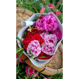 แพรเซี่ยงไฮ้ ขายเป็นกิ่ง กิ่งละ 1 บาท มีหลากหลายสีให้เลือก (ซื้อขั้นต่ำ 20 กิ่ง)