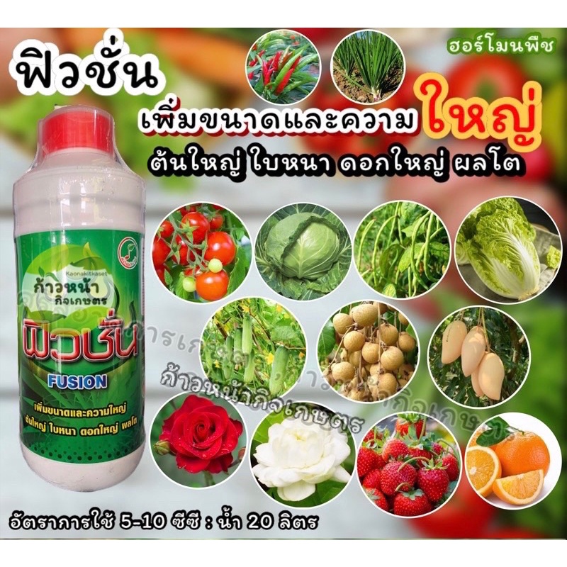ฟิวชั่น อาหารเสริมพืชคุณภาพ เพิ่มขนาดผลใหญ่ สะสมอาหาร สร้างตาดอก ต้นใหญ่ ใบหนา ดอกใหญ่ ใช้น้อย เห็นผลชัดเจน