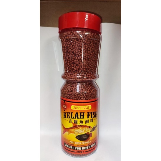 BETTAS KELAH Fish Pellets Fish Food (240G)