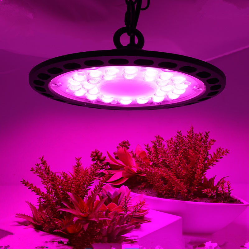 220V Full Spectrum LED Grow Light UFO100W/150W/200W ไฟปลุกต้นไม้ ไฟช่วยต้นไม้ตัวเร็ว