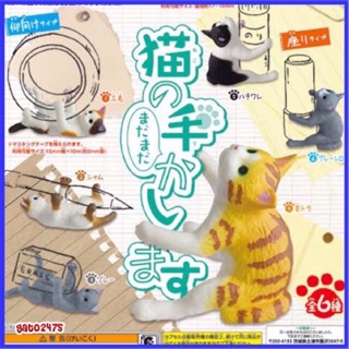 Cat แมวกาชาปอง หลากหลายแบบ ๏พร้อมส่ง๏