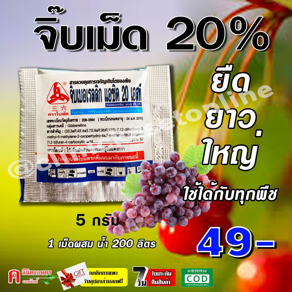 ✅💯✅ จิ๊บ บอเรลลิก แอซิด จิ๊บเม็ด (5 กรัม)(Gibberrellic acid 20%) แบบเม็ด ละลายน้ำ ยายืด ยืดช่อดอก ผล