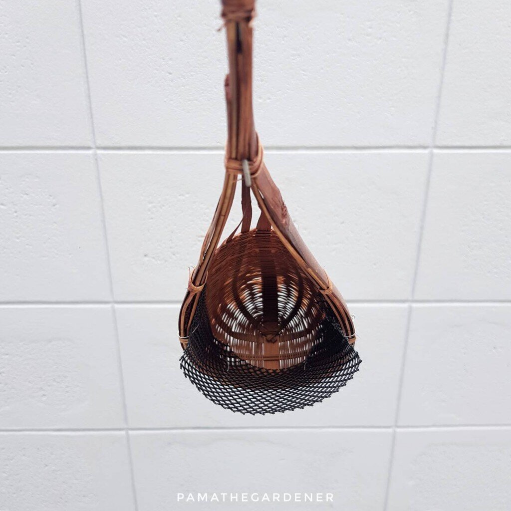 มุมมอง 4