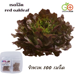 เรดโอ๊ค red oakleaf (MONDAI) Dutch 100 pills(เคลือบ)