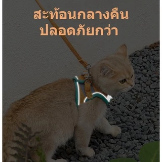 BHQ สายจูงสัตว์เลี้ยง สายจูงแมวสะท้อนแสงหลากสี ปลอกคอแมว สายจูงสุนัข ปรับขนาดได้ Velcro+หัวเข็มขัด แถบสะท้อนแสง
