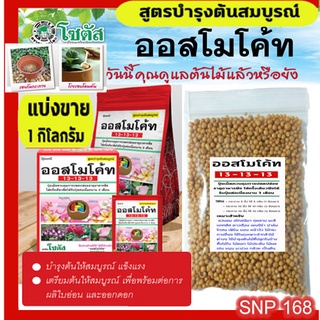 ปุ๋ยออสโมโค้ท สูตร 13-13-13 ปุ๋ยละลายช้าสูตร 3 เดือน ( ชนิดแ…