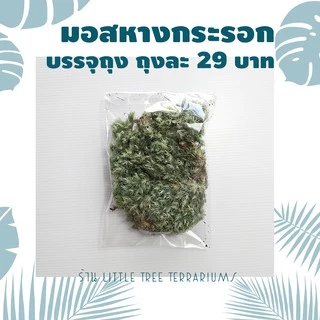 มอสแห้ง ถุงละ 29 บาท แถมฟรีคู่มือปลูกมอสทุกออเดอร์