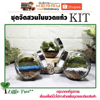 ชุดสวนขวด DIY KIT ทรงขวดกลมเอียง ขนาดของสินค้าตามที่ระบุไว้ อ่านก่อนสั่งซื้อ