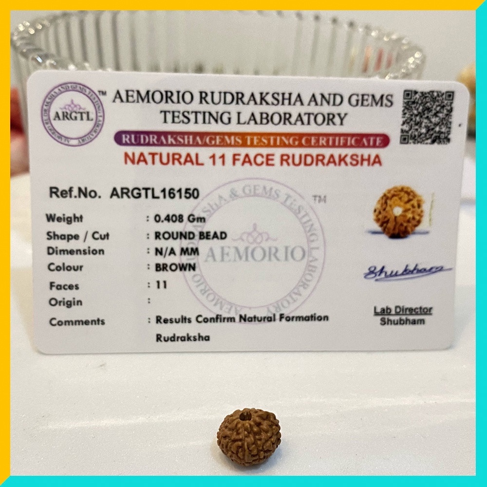 11 Mukhi (11 Face) ลูกปัด Rudraksha ที่ผ่านการรับรอง Lab