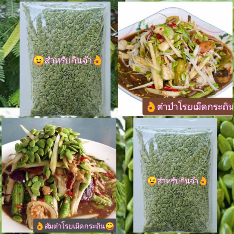 ➡️ส่งทุกวัน ,ขนาด250กรัม เม็ดกระถิน​แกะ