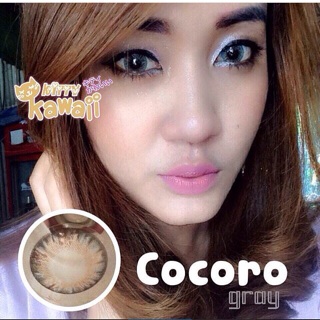 Sale ล้างสต็อคคอนเเทคเลนส์ สี  Cocoro gray