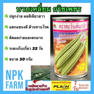 บวบเหลี่ยม กริชเพชร ขนาด 30 กรัม ตะวันต้นกล้า ลอตใหม่ ปลูกง่าย งอกดี ผลเขียวยาว 40 ซม. รูปทรงดี ลำต้นใหญ่ ต้านทานโรค