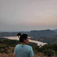 Profile pavman_2