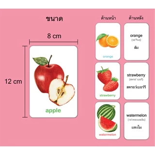 บัตรภาพชุดสัตว์น่ารัก แฟลชการ์ด การ์ดคำศัพท์ ขนาด 8x12 ซม.