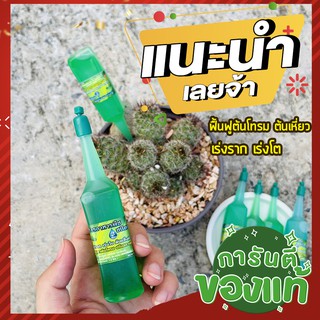 ปุ๋ยน้ำ 🌵100 ขวด 🌵เร่งราก 5 เท่า 🌵 อาหารเสริมพืช สีเขียว เร่งราก เร่งโต ฟื้นฟูต้นโทรม ต้นเหี่ยวเฉาให้ฟื้นตัวเร็ว