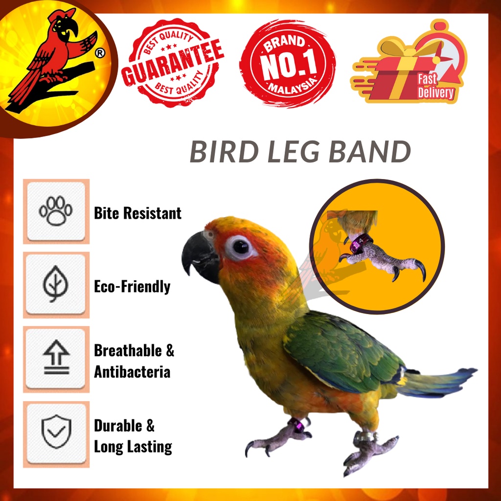 Serindit Bird Anklet Macaw Anklet Murai Batu Cockatoo Lovebird Anklet