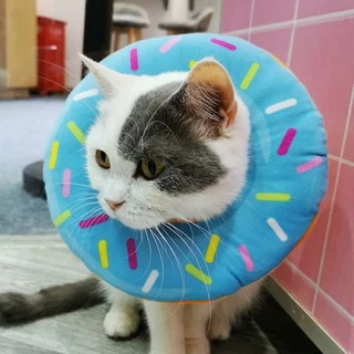 ปลอกคอกันเลีย คอลล่าโดนัท คอลล่าแมว ไม่เจ็บ สบายตัว