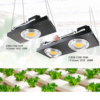 Cree CXB3590 โคมไฟปลูกพืช LED COB สเปกตรัมเต็มรูปแบบ 100W 200W สําหรับปลูกพืชในร่ม เรือนกระจก ไฮโดรโปนิก