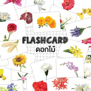 แฟลชการ์ดดอกไม้ แผ่นใหญ่ Flash card Flower KP020