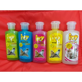 แชมพูแมวไอวี่ cat and Rabbit 250 ml