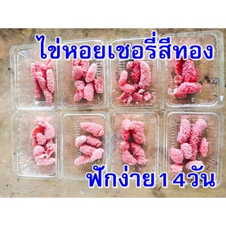 ไข่หอยเชอรี่สีทอง สำหรับเพาะเลี้ยง แถมฟรี แหนแดงสำหรับเป็นอาหารหอย