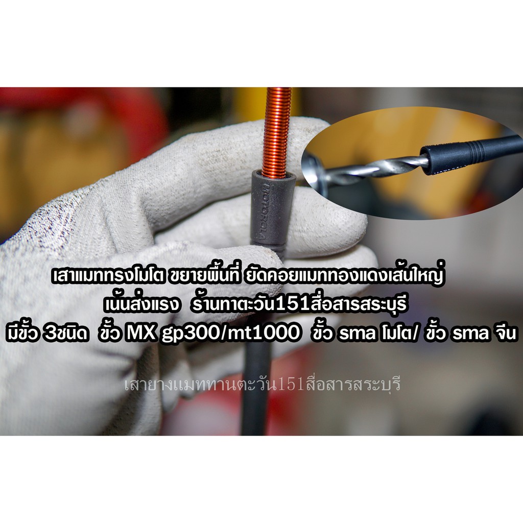 รูปภาพ 3