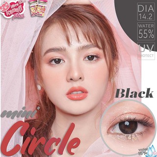 🌷สายธรรมชาติ🌷Mini Circle Kittykawaii คอนแทคเลนส์เกาหลี คอนแทคเลนส์ บิ๊กอาย bigeyes contactlens คอนแทคสายตา คอนแทค