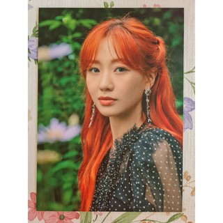 [แท้/พร้อมส่ง] โปสการ์ด ซูจอง Sujeong คอนเสิร์ต Lovelyz ONTACT Concert Deep Forest Postcard