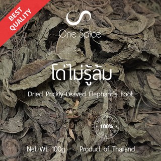 Onespice โด่ไม่รู้ล้ม 100 กรัม (1 ขีด) | โด่ไม่รู้ล้มแห้ง | Dried Prickly-Leaved Elephants Foot | One Spice