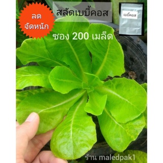 เมล็ดผักสลัด เบบี้คอส เมล็ดพันธุ์ผักสลัด ซอง200เมล็ด พร้อมส่ง