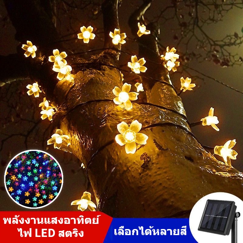Solar light ไฟตกแต่งLED ไฟดอกพีช พลังงานแสงอาทิตย์ กันน้ำ สีสันสดใสและอบอุ่น โคมไฟ