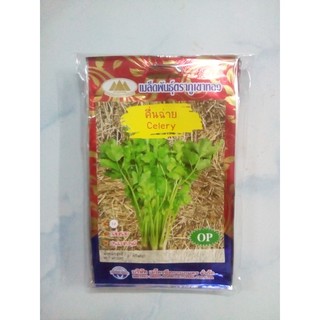 เมล็ดพันธุ์ผักคื่นฉ่าย