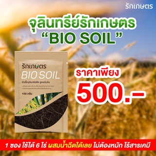 จุลินทรีย์รักเกษตร ย่อยฟาง ย่อยข้าวดีด ข้าวเด้ง Bio Soil (100กรัม)