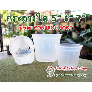 กระถางใส Root control   รูระบายข้าง ปลูกต้นไม้ สามารถมองทะลุ เห็นรากที่เกิดขึ้นมาได้ Transparent Tree Root control pot