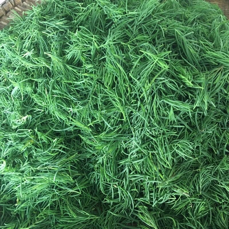 🌿ชะครามสด🌿 รูดแล้ว นน.1 กิโล สดๆจากธรรมชาติ ปลอดสารพิษ พร้อมส่ง‼️