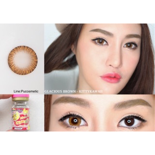 👒Bigeyes Glacious Brown👒สายตาปกติ,-3.50(kitty kawaii)