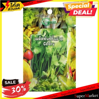 เมล็ดพันธุ์ขึ้นฉ่าย กรีน การ์เด้น เมล็ดพันธุ์ CELERY SEED GREEN GARDEN ต้นไม้และเมล็ดพันธุ์