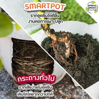 กระถางผ้า สีขาว กระถางผ้าปลูกต้นไม้ ถุงปลูกต้นไม้ กระถางต้นไม้ GBW Gallon ของแท้จาก SGE