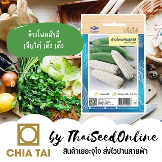 CTOP เมล็ดพันธุ์ ข้าวโพดสำลี 90 เมล็ด ตราเจียไต๋ Waxy Corn ข้าวโพดข้าวเหนียวสีขาว