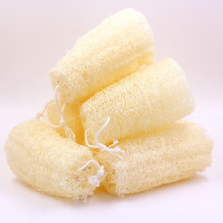 บวบท่อนธรรมชาติใช้ขัดตัว 4 อัน Loofah scrub 4 pcs.