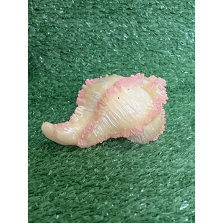 ของแต่งตู้ปลา เปลือกหอยเรซิน สวยงาม เหมือนจริง Seashell-D2 สีเหลืองชมพู