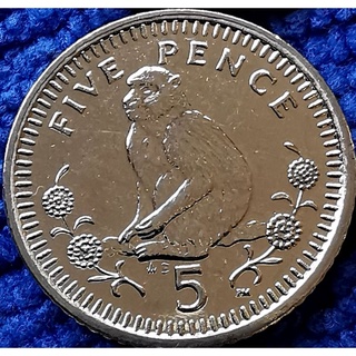 เหรียญ​ ยิบรอลตาร์​ Gibraltar​(ภายใต้​ UK), 5 Pence, #564T, ไม่​ผ่าน​ใช้​ UNC