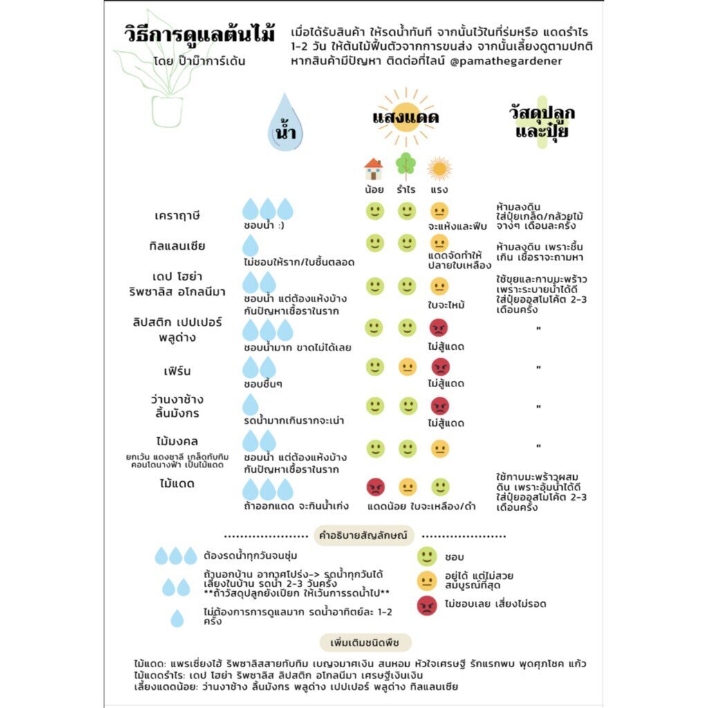 มุมมอง 4