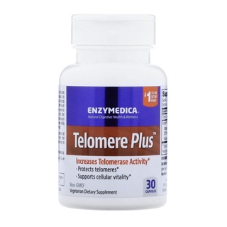 Telomere โครโมโซมที่ปกป้อง DNA ชะลอการแก่ 30 หรือ 60capsules