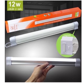 หลอดไฟ LED 12W สำหรับเดินป่า ตั้งแคมป์ ไฟฉุกเฉิน ชาร์จไฟบ้าน รุ่น RE1540